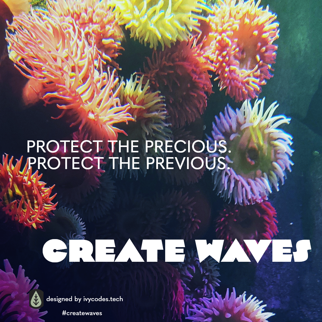 An instagram post for the "Create Waves" campaign about ocean habitat conservation. This post highlights how humans are reliant upon the ocean.