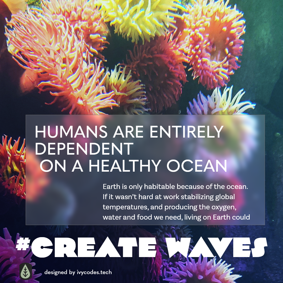 An instagram post for the "Create Waves" campaign about ocean habitat conservation. This post highlights how humans are reliant upon the ocean.